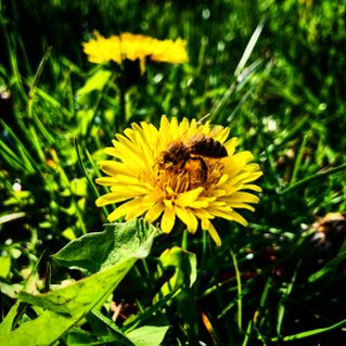 Seasonal Allergies Impacting You?
