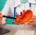 Gastric Bypass Surgery in Turkey: The Premium Choice