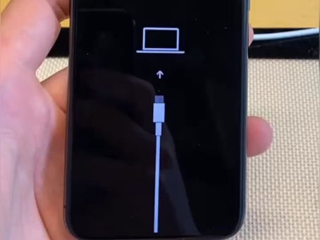 iPhone 11 Pro bootloop/Face ID repair