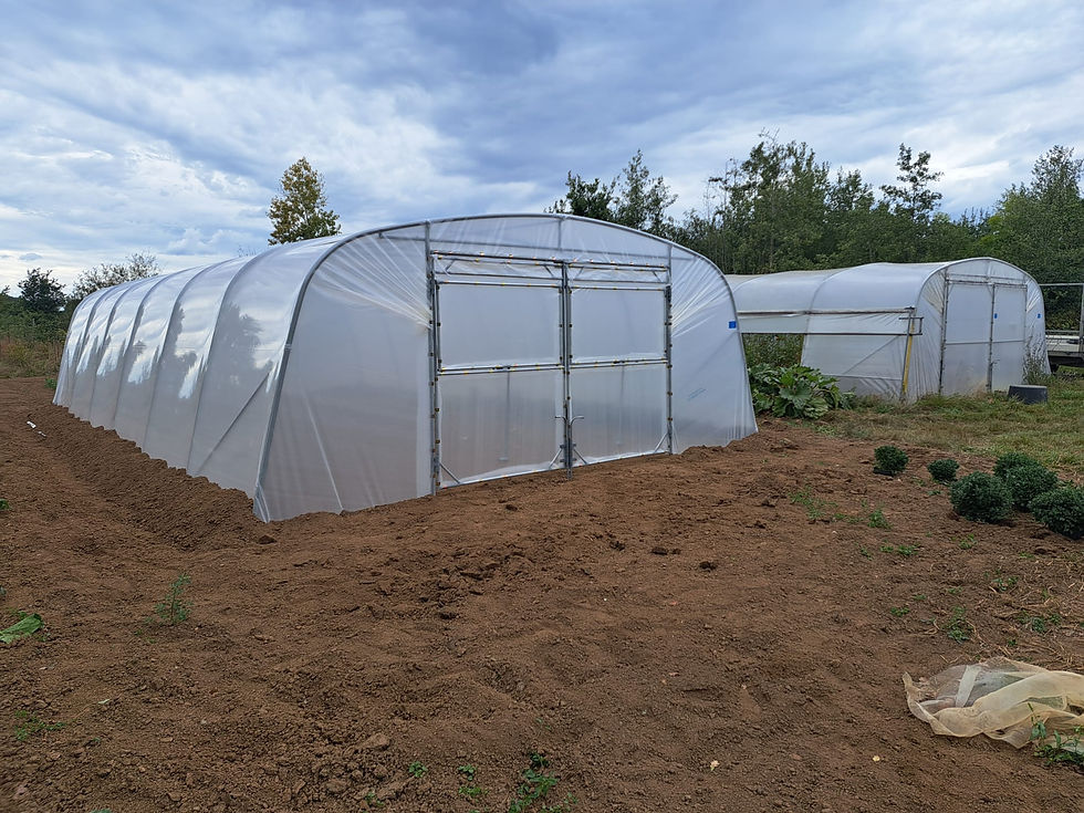 Laurent-Vandevoordt-tunnelserres-groenten-fruit-limburg