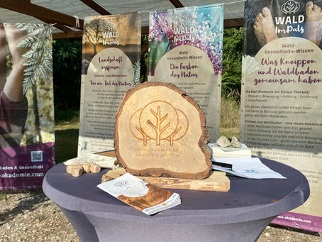 6. Kongress für Waldbaden und Gesundheit 2024
