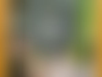 7. Kongress für Waldbaden und Gesundheit