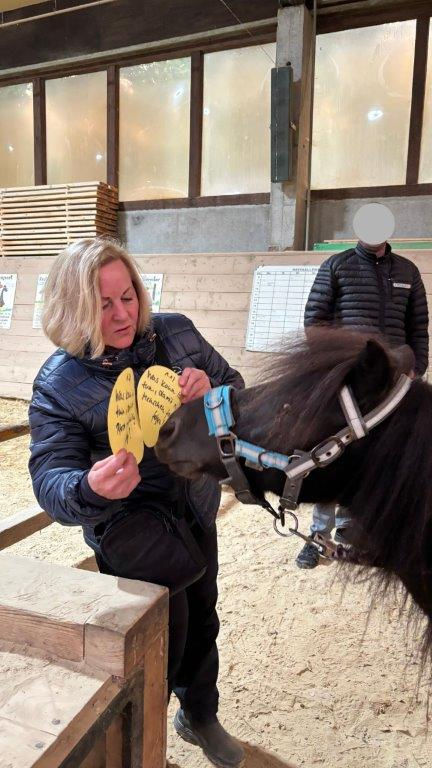 Tiergestützte Intervention mit Pferd