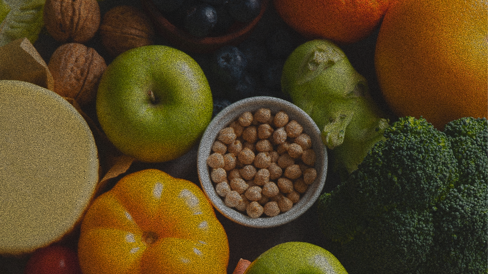 real-food-pyramid-assortment_edited.png