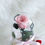 Thumbnail: Pink Beauty and the Beast Premium Preserved Flower