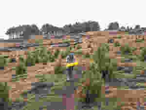tajumulco
