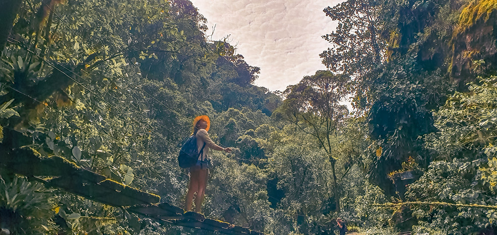 valledecocora