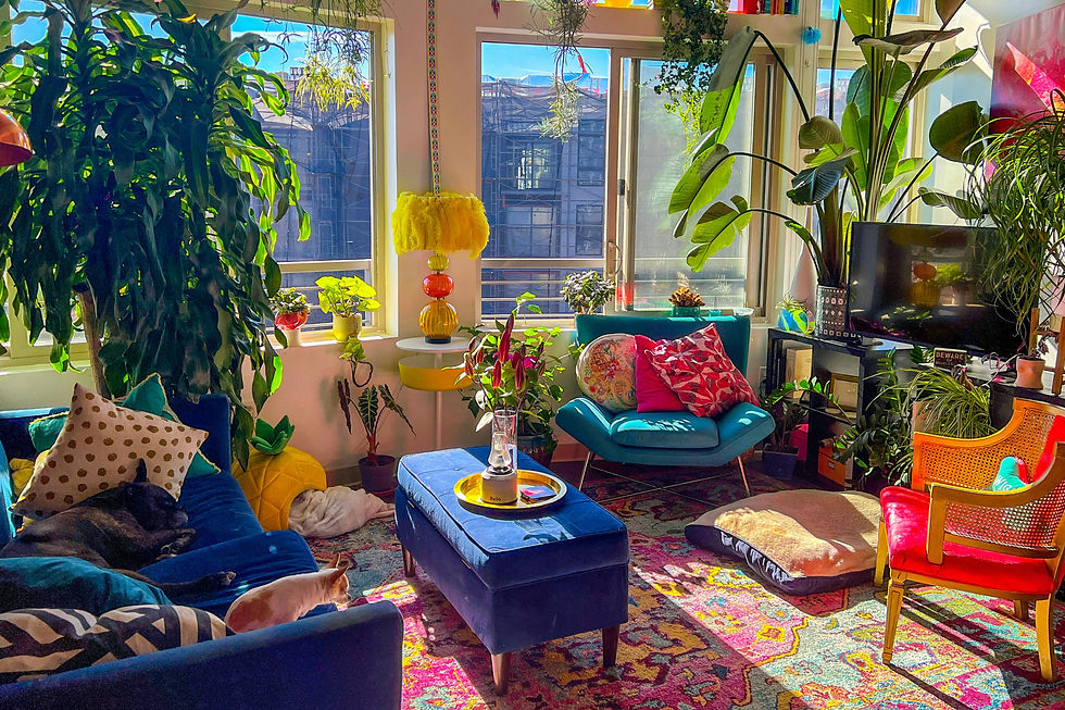 Vibrant living room with plants, colorful cushions, a dog and cat on a blue sofa, and sunlight streaming through large windows.