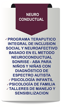 Captura de pantalla 2024-09-10 a la(s) 11.24.57 a. m..png