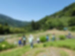 街の子供が里山の自然に親しむ会