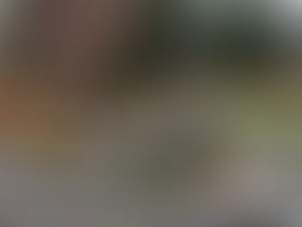 How Much Does It Cost to Hire a Pond Builder in New York? A Realistic Breakdown