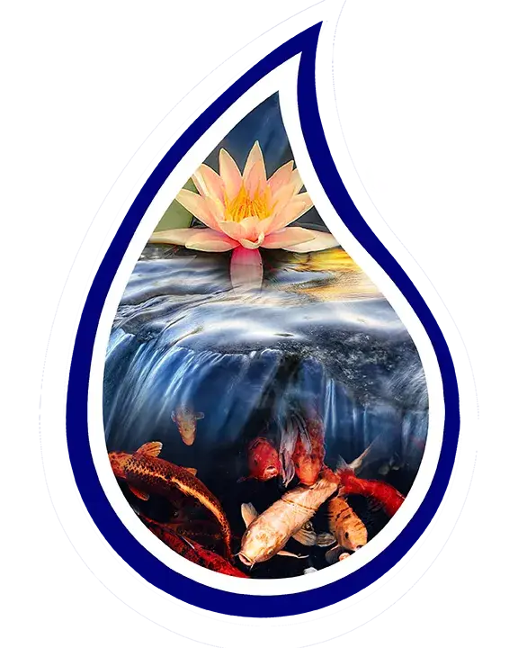 Bio-Fusion Designs Tear-drop logo with water lily, waterfall, and koi fish