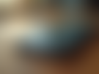 Affordable Screen Repairs and Loaner Phones Available Now