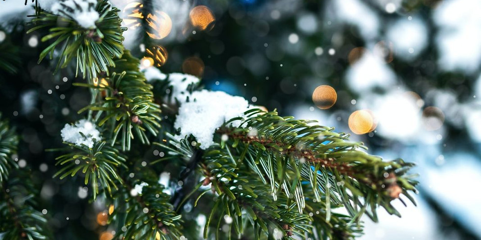 Giving Tree