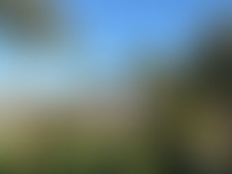 Tauchexkursion nach Marsa Alam, Ägypten (14.12.-21.12.2025)