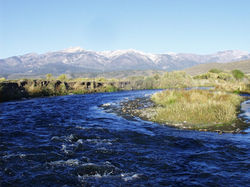NV+Sierra+Mnts.jpg