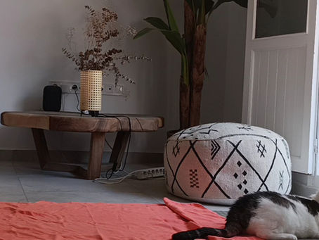 En kat bij een yoga mat