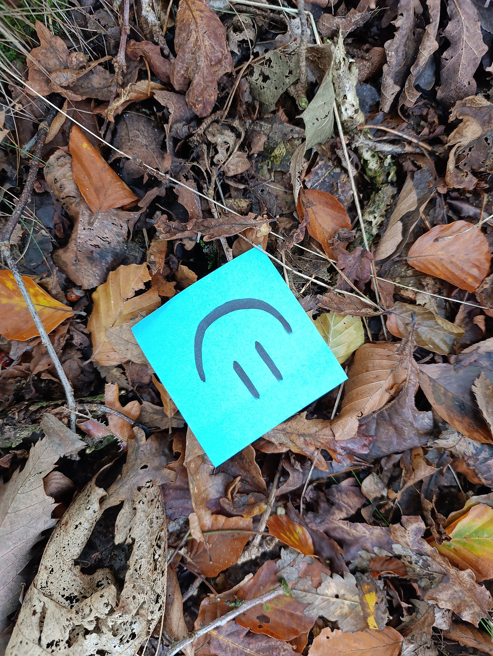 Geluk is niet wat je denkt.