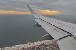 Diario del Alebrije.