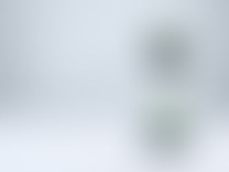 The Economics of Climate change