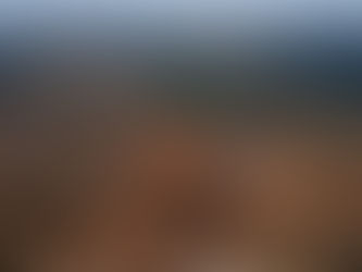 A Biodiversity Crisis is Evolving, Now is the Time for Businesses to Act