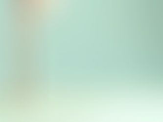 Dollar Tree appoints Chief Diversity and Sustainability Officers