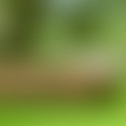 Experian Launches Solution Offering Lenders ESG Ratings and SME Emissions Estimate