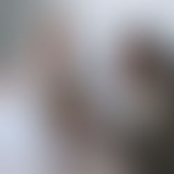 BeZero Carbon, raises $50 million to expand its carbon credit rating platform