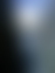 Hello, Mr. Prez-- Washington D.C.