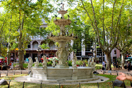 Life in the Fast Lane-- Montevideo, Uruguay.
