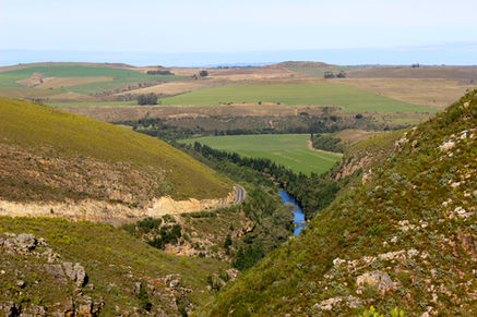 Is it Normal to Drink Mojitos with your Professors?