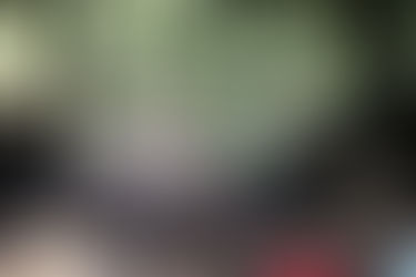 Shots! Shots! Shots!--Cintsa, South Africa.