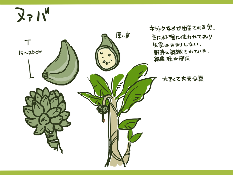 ヌァバ