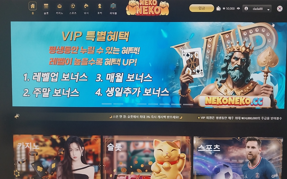 네코네코 먹튀