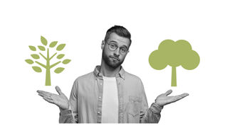 HOW TO CHOOSE THE RIGHT PLANT FOR THE RIGHT PLACE