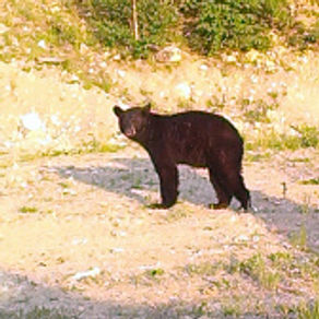 Happy Canada Day 2013!