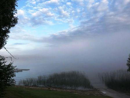 foggymorn