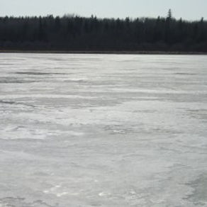 Last Year & This Year