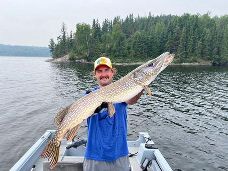 Roll of Thunder, Hear My Cry