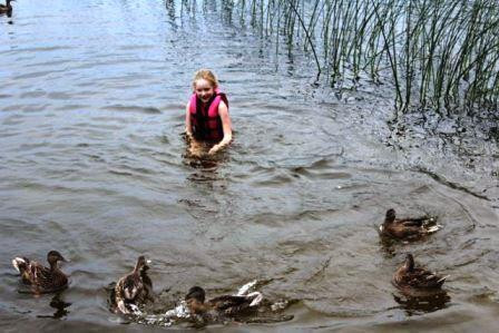 triciaswimmingwithducks