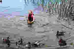 triciaswimmingwithducks