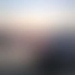 Closet Photographers and More Bears