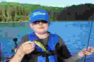 trentsperchseed