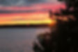 vividsunset
