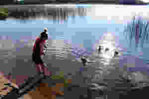 triciafeedingducks
