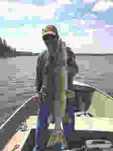 mikesnorthern