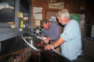 cleaning fish
