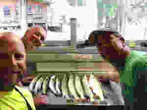 tableoffish