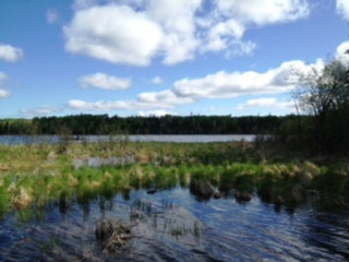 rachels scenery2
