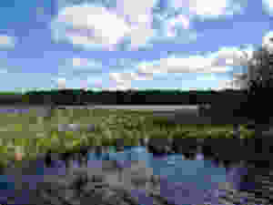 rachels scenery2